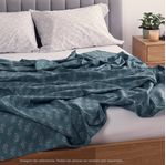 image-02157bed5b6443a1a8024307f43b7145