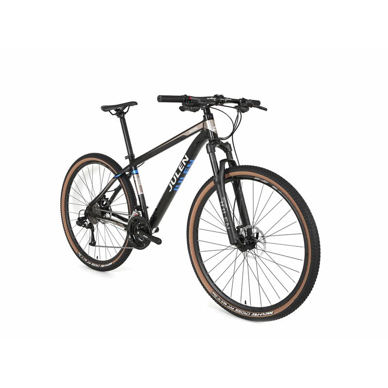 Bicicleta 29 Julen Evolution 2.0-1756126827887
